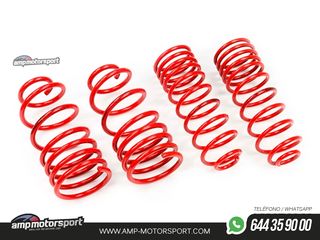 MUELLES DEPORTIVOS MTS TECHNIK MTSXMM037