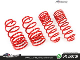 MUELLES DEPORTIVOS MTS TECHNIK MTSXVW162