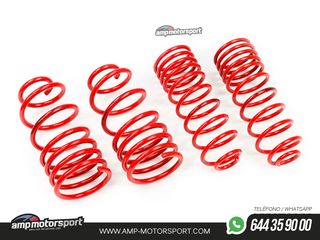 MUELLES DEPORTIVOS MTS TECHNIK MTSXTO019