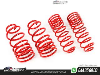 MUELLES DEPORTIVOS MTS TECHNIK MTSXSE085