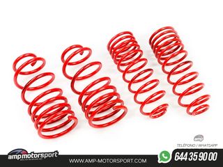 MUELLES DEPORTIVOS MTS TECHNIK MTSXVW077