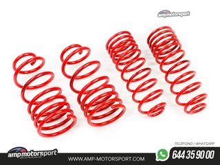 MUELLES DEPORTIVOS MTS TECHNIK MTSXVW405