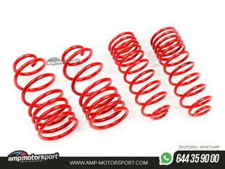 MUELLES DEPORTIVOS MTS TECHNIK MTSXVW284