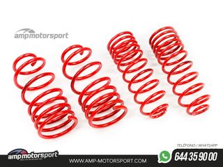 MUELLES DEPORTIVOS MTS TECHNIK MTSXAU301