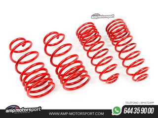 MUELLES DEPORTIVOS MTS TECHNIK MTSXSK036