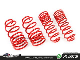 MUELLES DEPORTIVOS MTS TECHNIK MTSXHO044