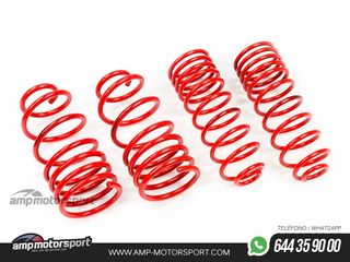 MUELLES DEPORTIVOS MTS TECHNIK MTSXMM040