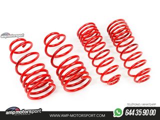 MUELLES DEPORTIVOS MTS TECHNIK MTSXSK110