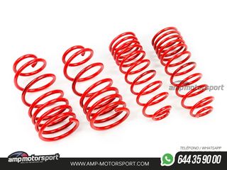 MUELLES DEPORTIVOS MTS TECHNIK MTSXSK033