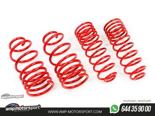 MUELLES DEPORTIVOS MTS TECHNIK MTSXSE010