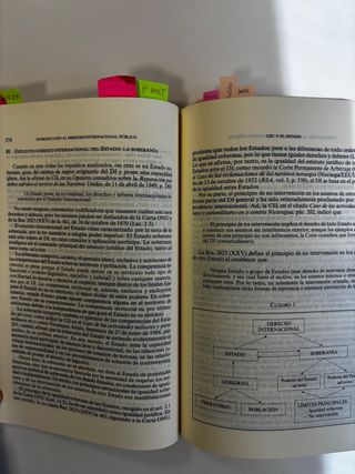 Introducción al Derecho Internacional Público. ...