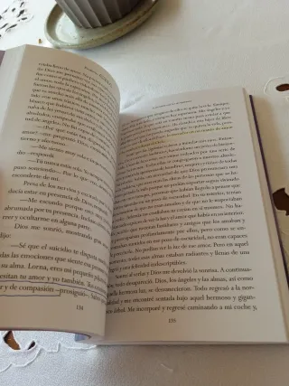 ESCALERAS AL CIELO (Spanish Edition)