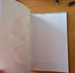 Taccuino Zelda Hyrule Warriors: L'era dell'esilio