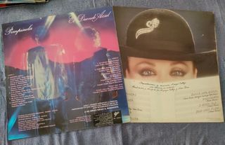 Lote 6 Vinilos Bertín Osborne y Rocío Jurado