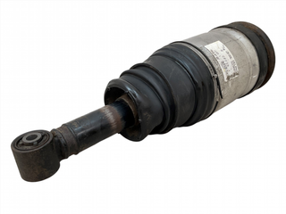 Amortiguador tarsero Range Rover 22238307