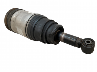 Amortiguador tarsero Range Rover 22238307