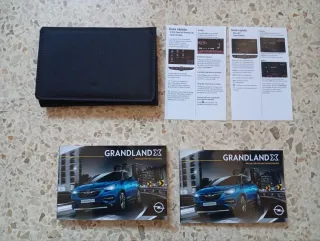Manual Opel Grandland X instrucciones