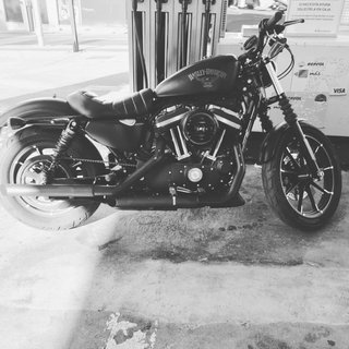 Harley Davidson 883 Negra