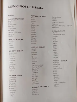 Libro BIZKAIA Pueblo a Pueblo