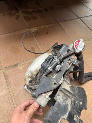 Radiador y manguitos Honda SH125