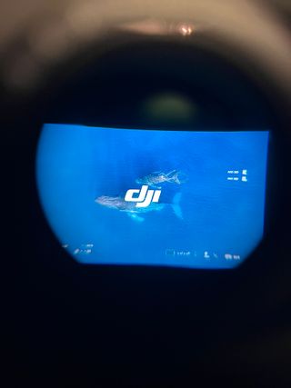 DJI Goggles 2 Visore Droni