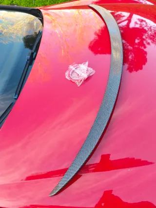 Alerón Fibra Carbono Tesla Model 3