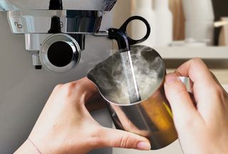 Origial BARISTAEXPERT 19 Cafetera Espresso 19 Bare