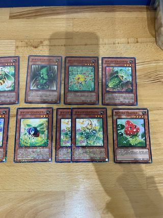 Carte Yu-Gi-Oh! Naturia DT-JP