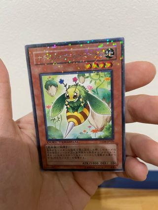 Carte Yu-Gi-Oh! Naturia DT-JP