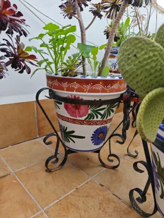 Lote Maceteros cerámica.