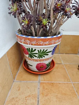 Lote Maceteros cerámica.