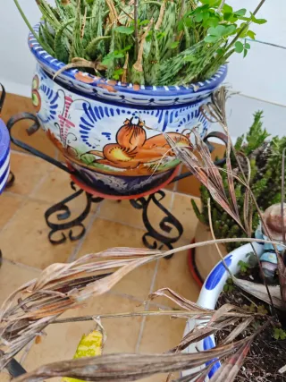 Lote Maceteros cerámica.