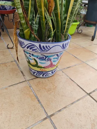 Lote Maceteros cerámica.