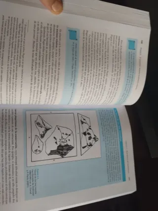 El Desarrrollo psicologico a lo largo de la vida.
