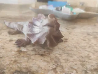 Iguana de goma juguete