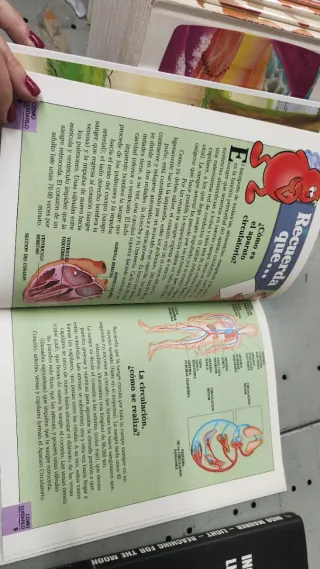 Erase una vez "El Cuerpo Humano"