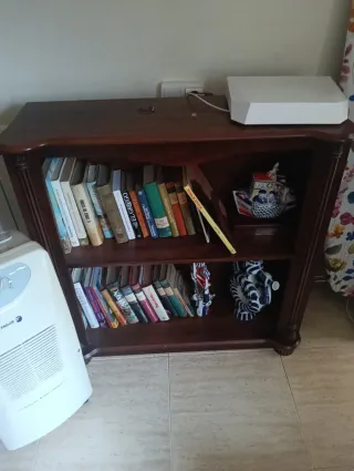 Muebles,lámparas y espejo.