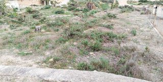 Casa rural en venta en Crevillent