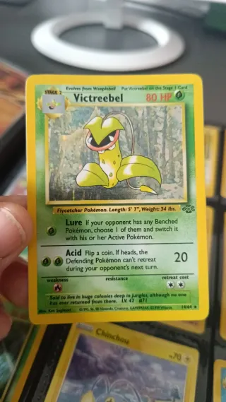 Carta Pokémon preguntar por precio.