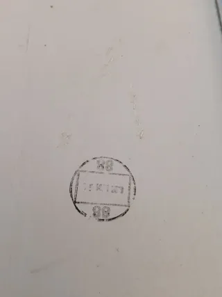 Panel Puerta Conductor Blanco Smart fortwo 451