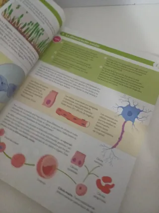 Libro Biología y Geología Tercero ESO