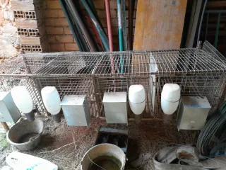 Jaula para conejos/hurones