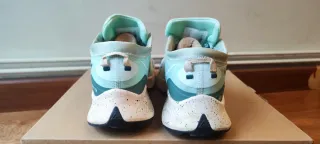 Nike Pegasus Trail GTX N° 41