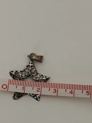 Ciondolo Stella Argento 800