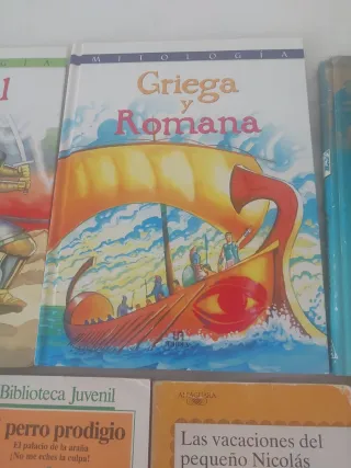 Lote de libros de lectura