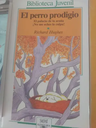 Lote de libros de lectura