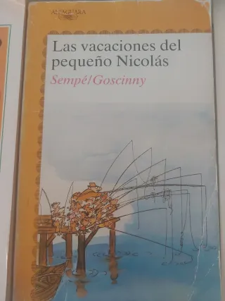 Lote de libros de lectura