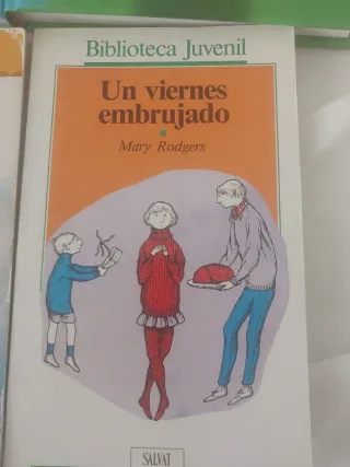 Lote de libros de lectura