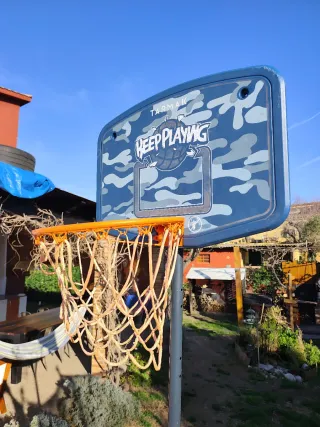 Canasta de baloncesto Tarmak