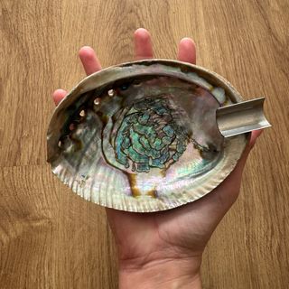 Concha de abulón cenicero